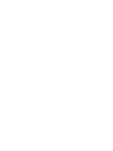 AFC Champions League on the Best IPTV Service