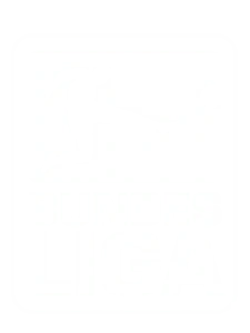 Bundesliga on the Best IPTV Service