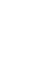 Ligue 1 on the Best IPTV Service