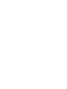 Premier League on the Best IPTV Service